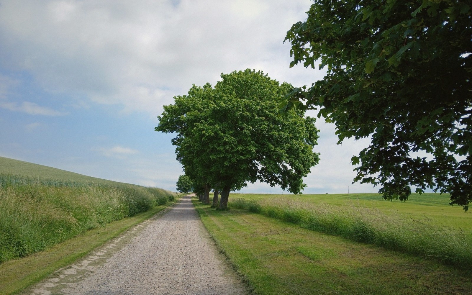 The Back Roads Worth the Detour