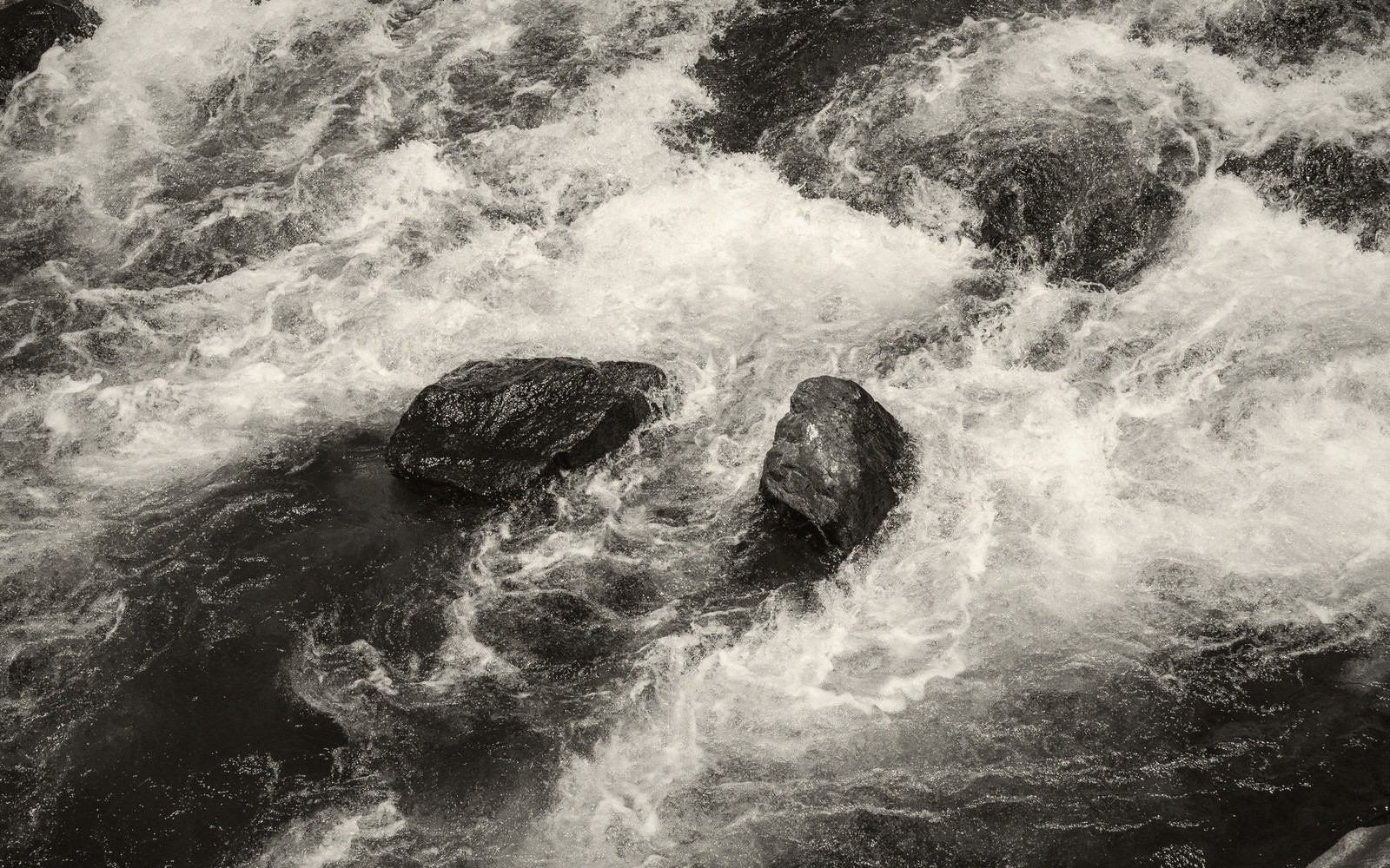 High Water: Reading the Rivers by Season