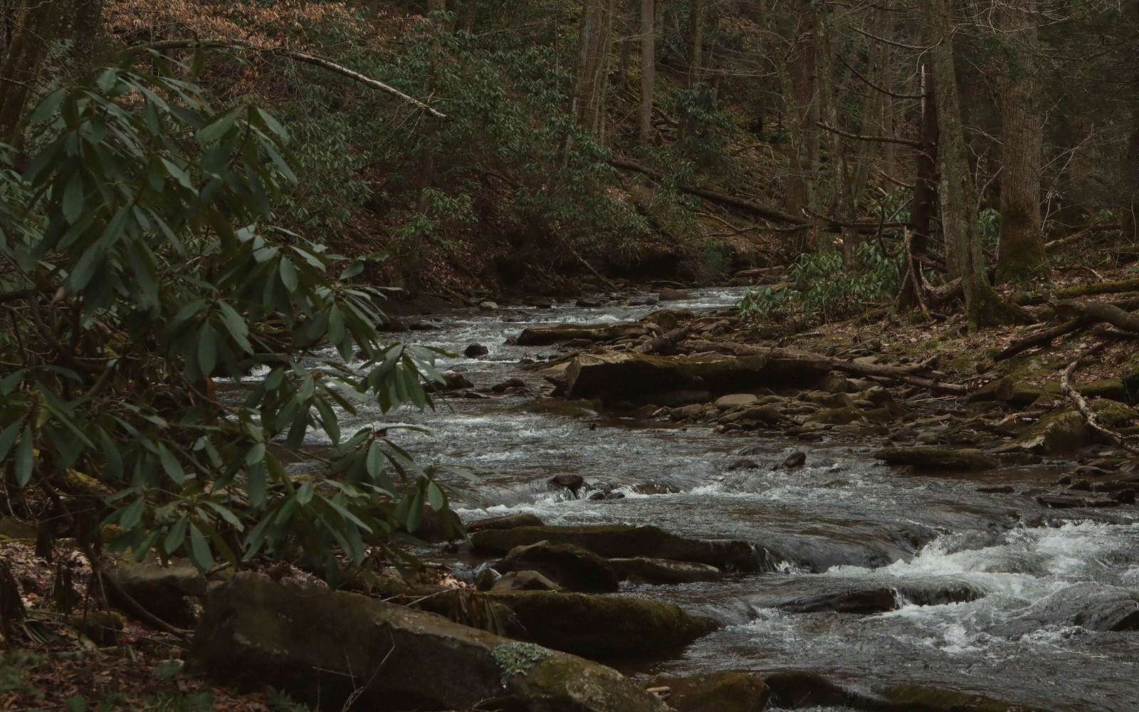 Natural Bridge, Without the Crowds