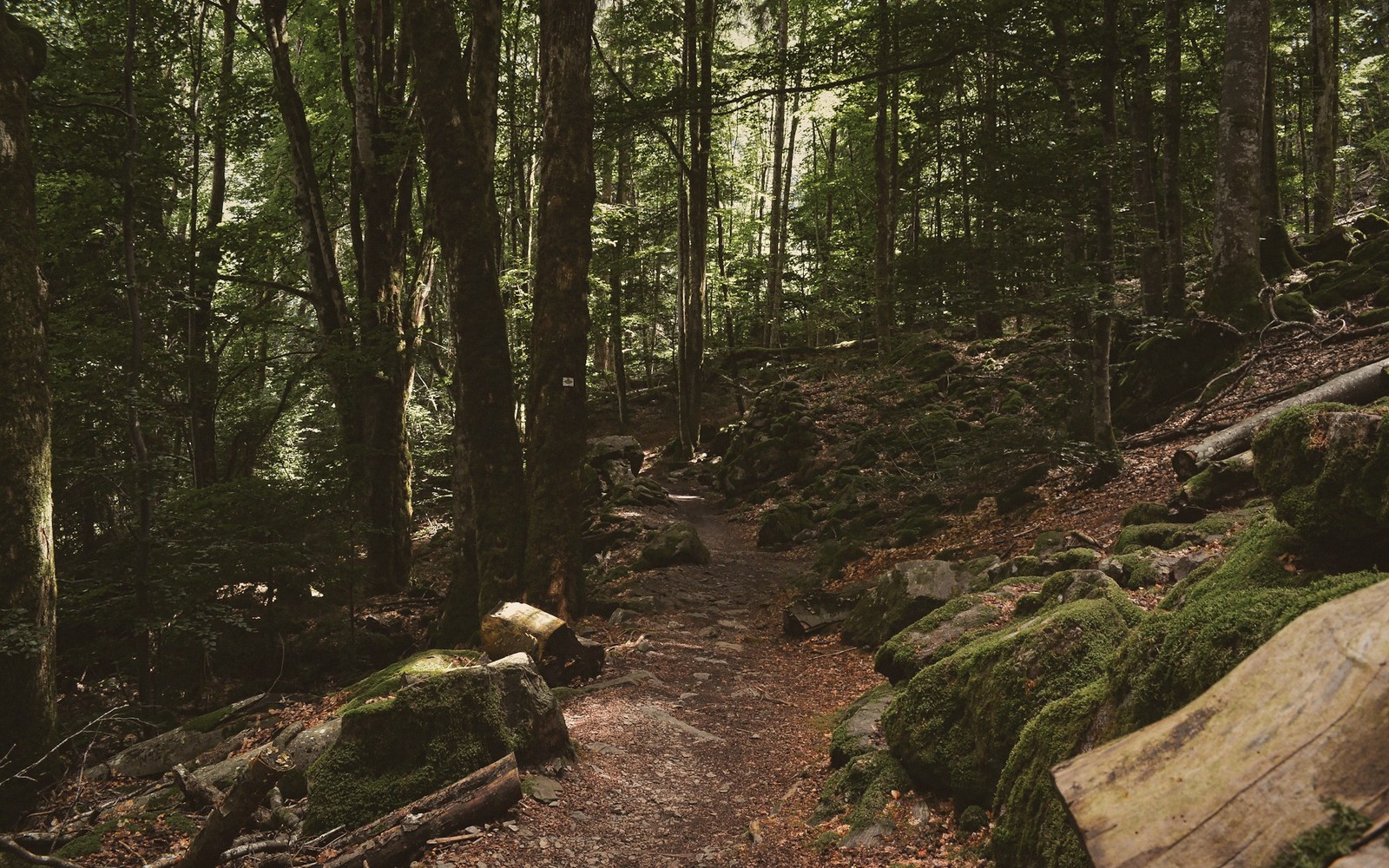 Ridge Trails: Three That Are Worth It