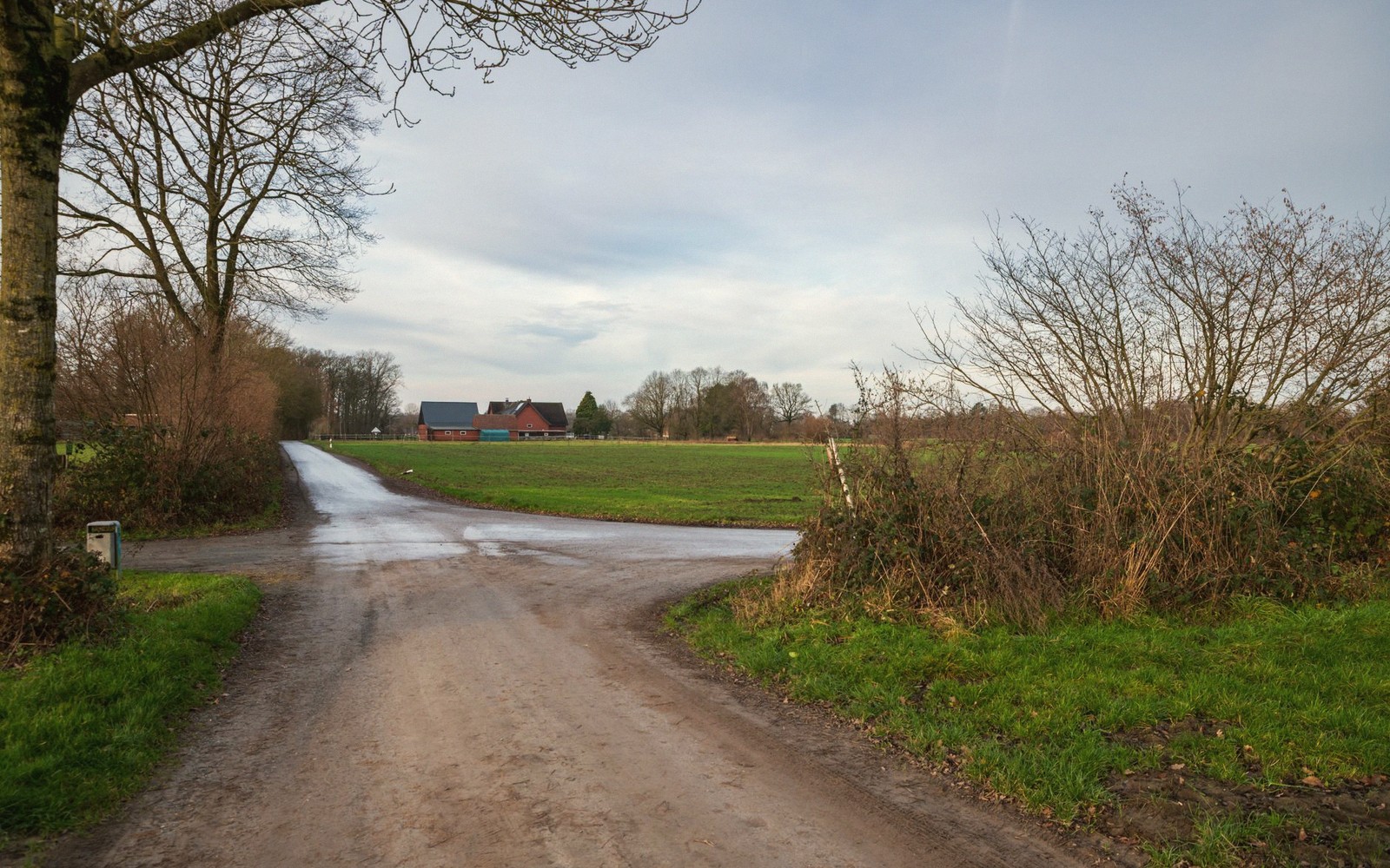Glasgow and Goshen: The Small Ends